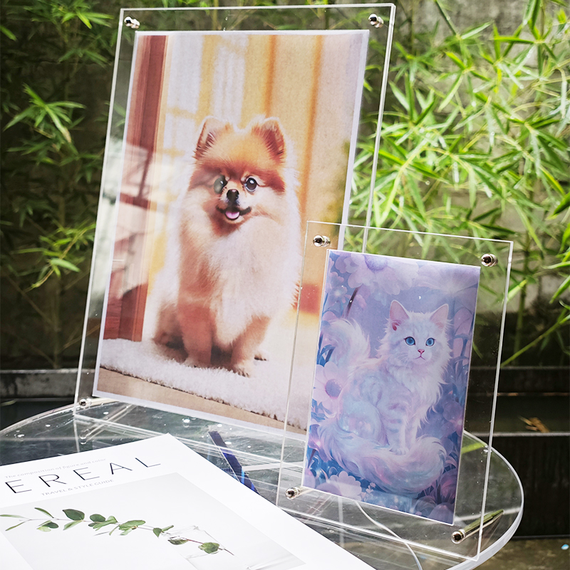 Luxury Lifestyle Photos - Light Luxury Transparent Acrylic Photo Frame,